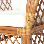 vidaXL Canapé avec coussin Marron clair Rotin naturel et lin