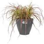 Pot de fleurs Rond VIBIA - Plastique Réservoir - Ø 47 - Blanc