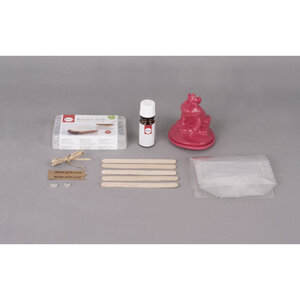 Kit : Daily Soap - Roi grenouille  p. 2 savons  boîte 1 Set