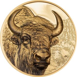 Pièce de monnaie en Or 25000 Togrog g 31.1 (1 oz) Millésime 2025 Wild Mongolia BISON (PRÉCOMMANDE)