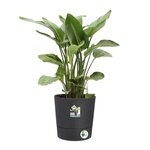 Pot de fleur rond Ø 43 x hauteur 43 cm - Intérieur extérieur 100  recyclé - Gris