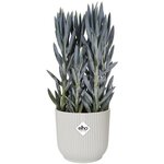 Pot de fleurs rond Vibes Ø 22 x hauteur 20 16 cm Blanc