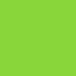 Ramette 250 Feuilles Papier 160g A4 210x297 mm Certifié FSC Vert menthe TROPHÉE