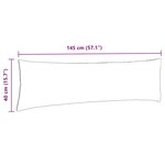 vidaXL Coussins de canapé 2 Pièces Beige 145 x 40 cm tissu