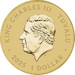 Pièce de monnaie en Cupronickel 1 Dollar g 13.5 Millésime 2025 TEENAGE MUTANT NINJA TURTLES