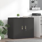 vidaXL Armoire de rangement Noir 80 x 40 x 70 cm Acier