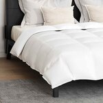 vidaXL Ensemble de Duvet avec oreiller 3 Pièces Blanc Plume de canard