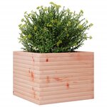 vidaXL Jardinière 60x60x45 5 cm bois massif de douglas