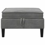vidaXL Pouf avec Rangement Gris foncé Velours