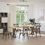 vidaXL Pieds de table à manger 2 pièces Anthracite 50 x (72-73 3) cm Acier