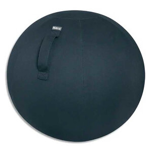 Leitz leitz ballon d'assise ergo cosy