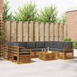 vidaXL Ensemble de canapés d'extérieur 10 pc Naturel et Anthracite