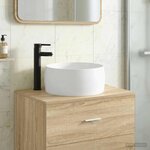 vidaXL Lavabo de salle de bains Noir Mat 38 5 x 38 5 x 16 cm métal