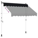 vidaXL Auvent rétractable manuel Noir 300 cm