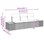 Set de Canapé de Jardin 3 Pièces avec Coussins Noir Rattan Acacia