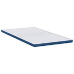 vidaXL Coussins de Matelas Blanc et bleu 100 x 200 cm