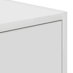 vidaXL Meuble TV Blanc 100 x 31 x 25.5 cm Bois d'ingénierie