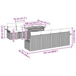 vidaXL Ensemble de 9 Pièces de Canapés de Jardin avec Coussins Gris Poly Rattan Acacia