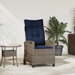 vidaXL Chaise de jardin inclinable 56 x 60 x 112 cm acier
