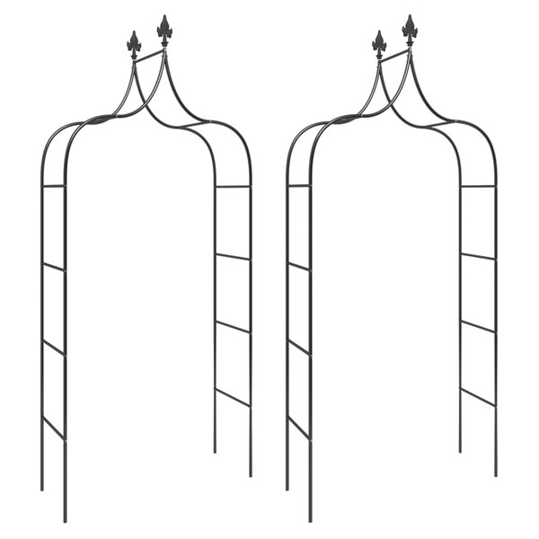 vidaXL Arches de jardin 2 Pièces Noir 120x38x260 cm Acier