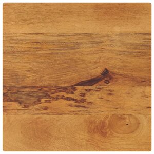 vidaXL Dessus de table 50x50x2 5 cm carré bois massif de manguier