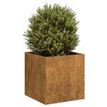 vidaXL Jardinière rouillé 40x40x40 cm acier inoxydable