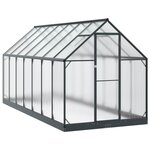 vidaXL Serre de jardin avec porte Anthracite 183 5 x 423 5 x 207 cm