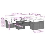 vidaXL Salon de jardin 10 Pièces avec coussins noir résine tressée