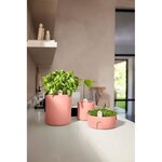 Pot de fleurs Rond MAGIC MICROGREENS - Plastique - Ø 16 - Terra Caramel