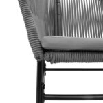 vidaXL Chaises de jardin lot de 2 avec coussins gris résine tressée