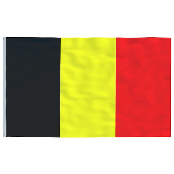 vidaXL Drapeau Belgique 90x150 cm