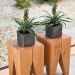 Lechuza jardinière de table cube glossy 14 all-in-one charbon brillant