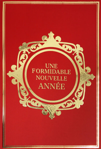 Carte Meilleurs Vœux Bonne Année + Enveloppe 12x17cm