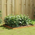 vidaXL Lit surélevé de jardin 100x100x18 5 cm acier corten