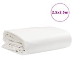 vidaXL Bâche blanc 2 5x3 5 m 650 g/m²