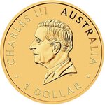 Pièce de monnaie en Argent 1 Dollar g 31.1 (1 oz) Millésime 2026 KOOKABURRA