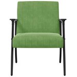 vidaXL fauteuil Vert clair 59 x 75 x 78 cm Velours