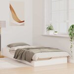 vidaXL Cadre de lit surélevé Blanc 100 x 200 cm Bois massif en pin