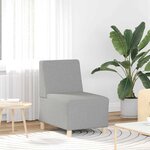 vidaXL Unité de Sofa Modulaire Sans Accoudoirs 2 Pièces Gris nuage