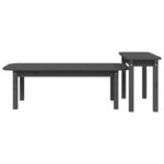 vidaXL Ensemble de tables basses 2 Pièces Gris Bois massif de pin