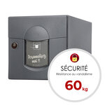 Boîte aux lettres Soléa  2 portes Gris anthracite aspect sablé REN 0206MS