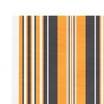 vidaXL Tissu de remplacement pour auvent rayures multicolores 3x2 5 m