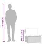 vidaXL Canapés centraux de jardin et coussins 2Pièces Noir Résine tressée