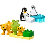 Lego 10442 - Duplo Familles d'animaux sauvages : pingouins et lions