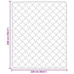 vidaXL Duvet d'hiver 220 x 260 cm Hiver Rose Respirant