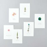 Œillets séchés et pressés