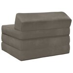 vidaXL Canapé-lit pliable Gris clair 200 x 70 x 10 cm Velours