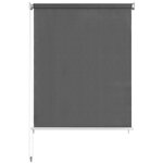 vidaXL Store roulant d'extérieur 160 x 230 cm Anthracite