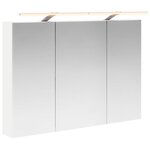 vidaXL Armoire Miroir de Salle de Bain Blanc 100 x 14 5 x 70 cm
