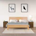 vidaXL Tables de chevet 2Pièces Marron miel 50x35x61 5 cm Bois pin massif